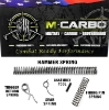 CZ Shadow 1 & Shadow 2 Trigger Spring Kit