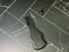 KEL-TEC KSG 410 Extended Selector Switch