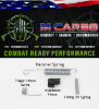 Ruger LCP Max Trigger Spring Kit 