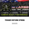Labeled Mossberg SA-20/SA-28 Trigger Spring Kit - Trigger Return Spring
