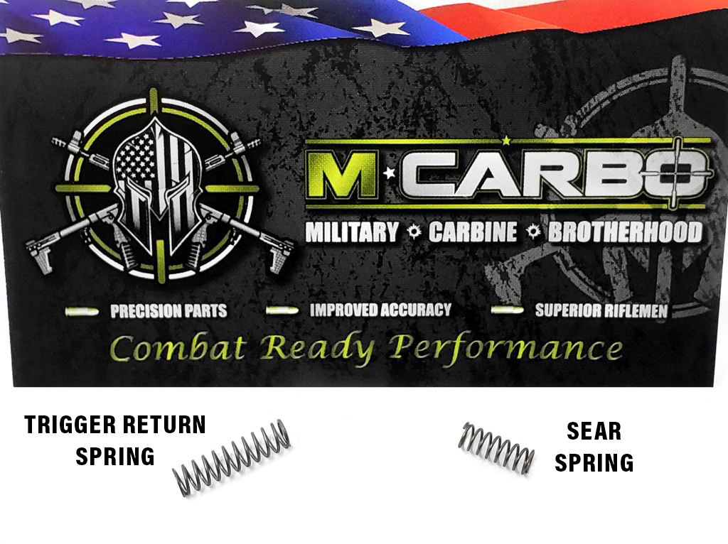 Labeled T/CR22 Trigger Spring Kit - Trigger Return Spring and Sear Spring