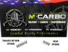 Labeled T/CR22 Trigger Spring Kit - Trigger Return Spring and Sear Spring